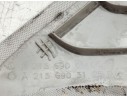 MOLDURA DELANTERA IZQUIERDA A2136906706 