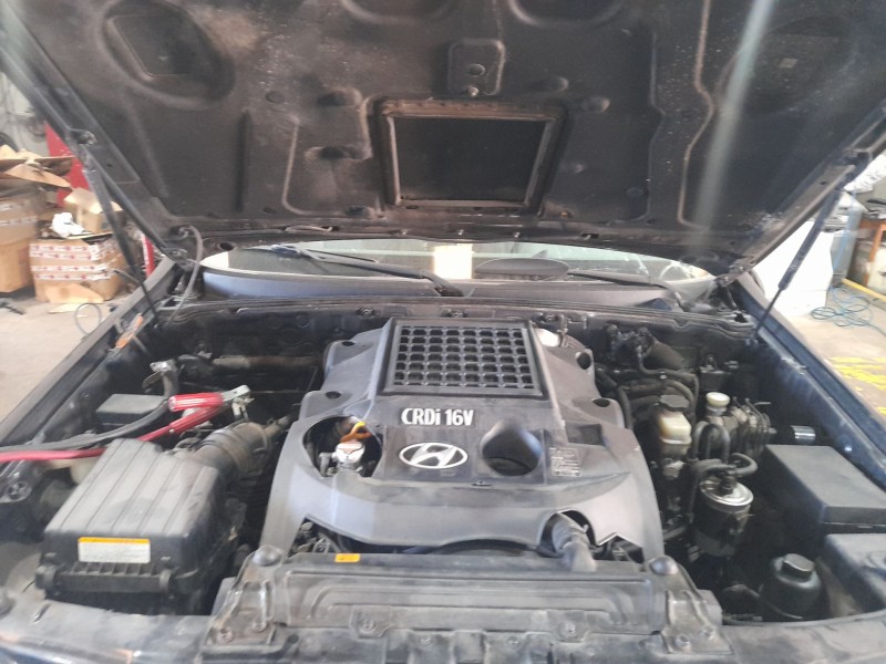 hyundai terracan (hp) del año 2005