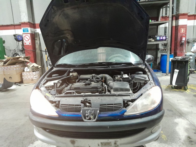 peugeot 206 fastback (2a/c) del año 2000