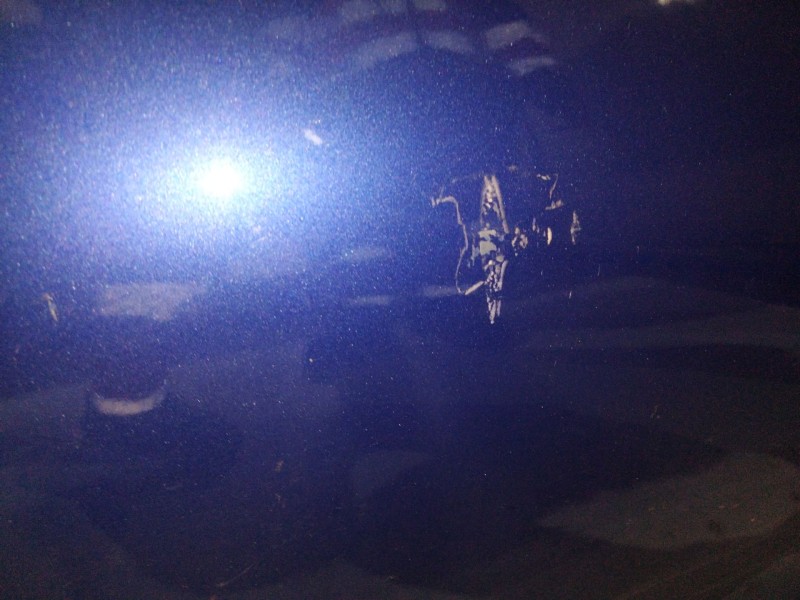 Recambio de puerta delantera izquierda para bmw serie 1 lim. (f21) 116d referencia OEM IAM   