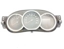 CUADRO INSTRUMENTOS 248103023R 