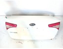 PORTON TRASERO 692002T010 