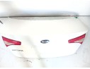 PORTON TRASERO 692002T010 