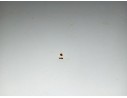 PORTON TRASERO 692002T010 