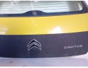 PORTON TRASERO 9800805380 