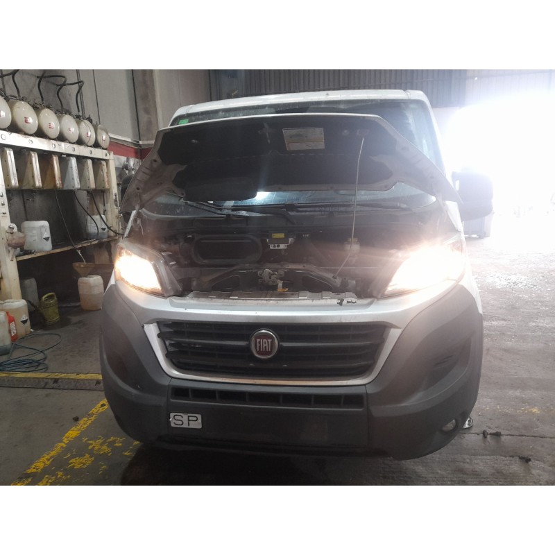 fiat ducato furgón (250_) del año 2017