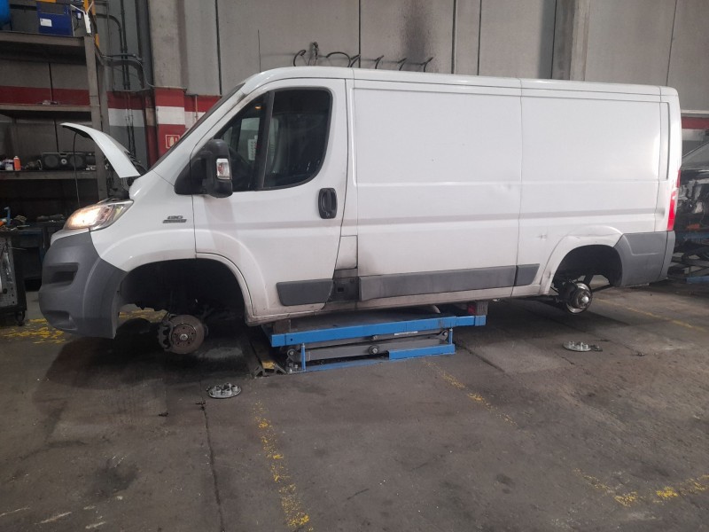 fiat ducato furgón (250_) del año 2017