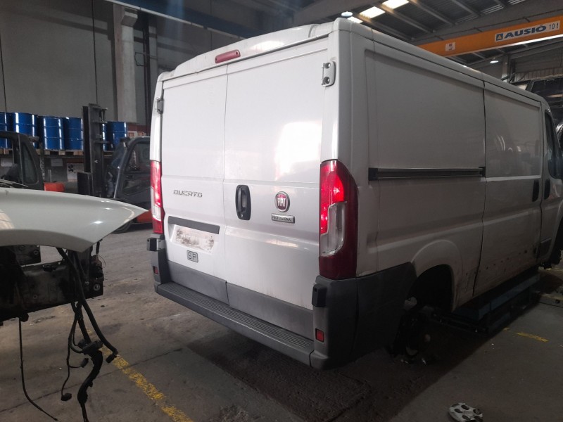 fiat ducato furgón (250_) del año 2017