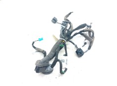 Recambio de instalacion puerta trasera derecha para land rover evoque 2.0 td4 cat referencia OEM IAM    2