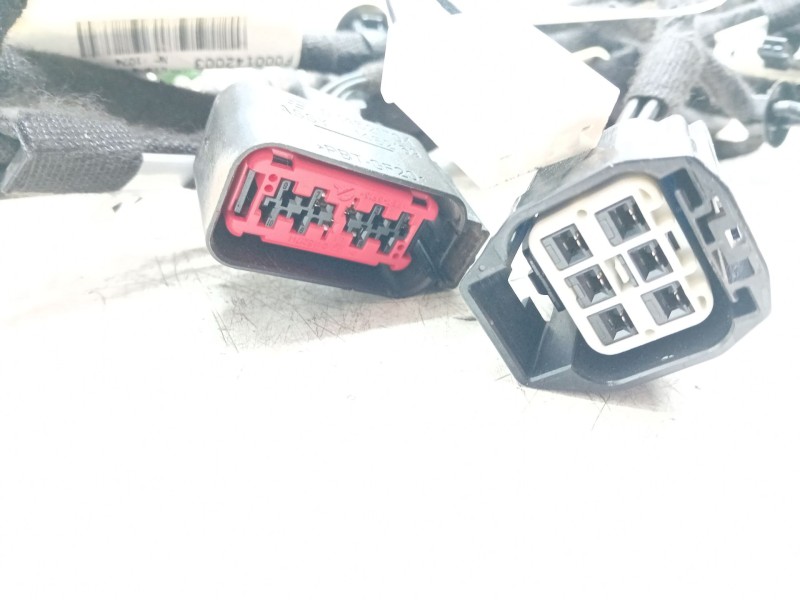 Recambio de instalacion puerta trasera izquierda para land rover evoque 2.0 td4 cat referencia OEM IAM JJ3214632  