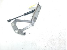 Recambio de bisagra capot izquierda para land rover evoque 2.0 td4 cat referencia OEM IAM GH5216801AC  