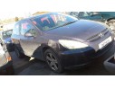 PEUGEOT 307 (S1)