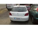 PEUGEOT 307 (S1)