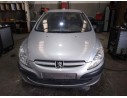 PEUGEOT 307 (S1)