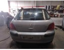 PEUGEOT 307 (S1)