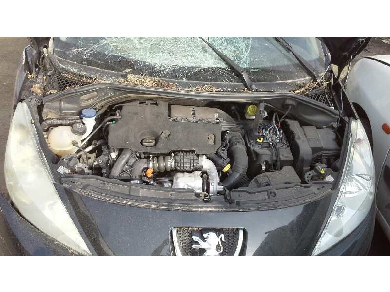 peugeot 207 del año 2011