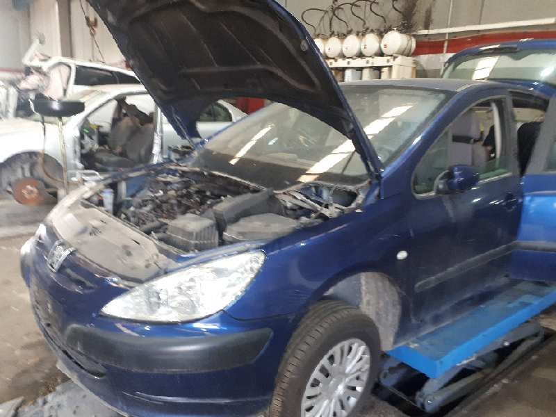 peugeot 307 (s1) del año 2004
