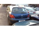 PEUGEOT 307 (S1)