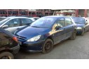 PEUGEOT 307 (S1)