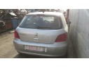 PEUGEOT 307 (S1)