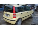 FIAT PANDA (169)