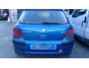 PEUGEOT 307 (S1)