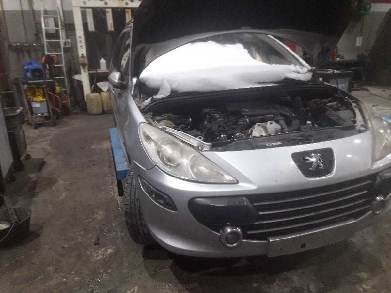 peugeot 307 break/sw (s2) del año 2007