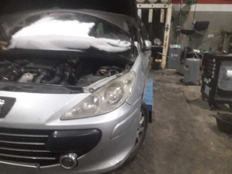 peugeot 307 break/sw (s2) del año 2007