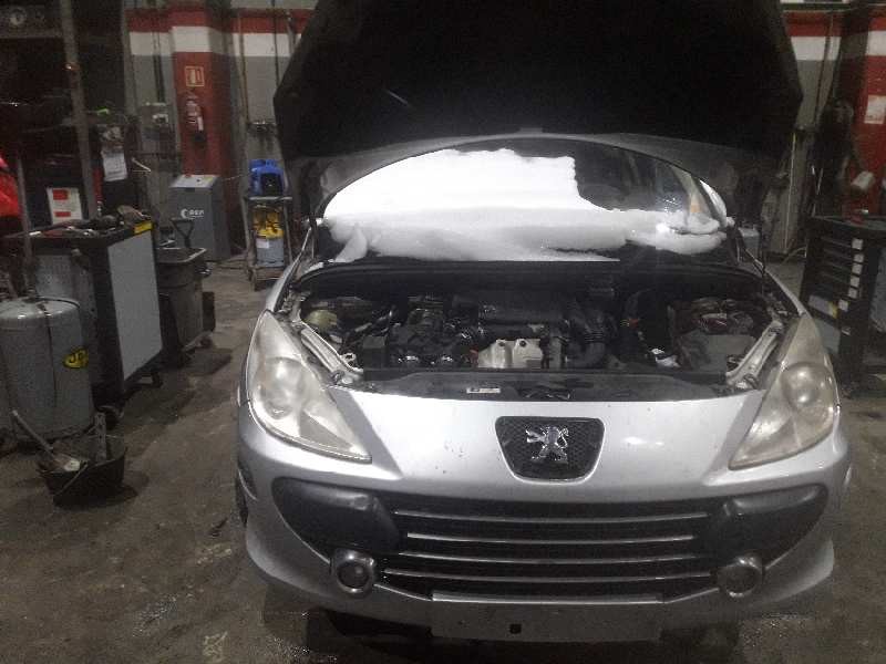 peugeot 307 break/sw (s2) del año 2007