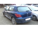 PEUGEOT 307 (S1)