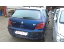 PEUGEOT 307 (S1)