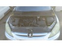 PEUGEOT 307 BREAK / SW (S1)
