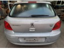 PEUGEOT 307 (S1)