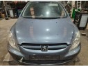 PEUGEOT 307 (S1)