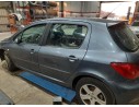 PEUGEOT 307 (S1)