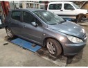 PEUGEOT 307 (S1)
