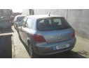 PEUGEOT 307 (S1)