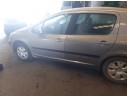 PEUGEOT 307 (S1)