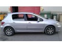 PEUGEOT 307 (S1)