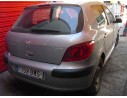PEUGEOT 307 (S1)