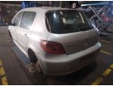 PEUGEOT 307 (S1)