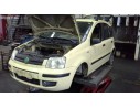 FIAT PANDA (169)