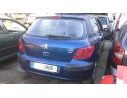 PEUGEOT 307 (S1)