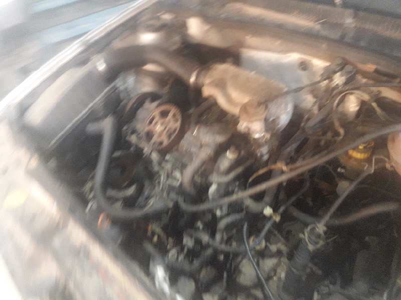 seat ibiza (6k) del año 1998