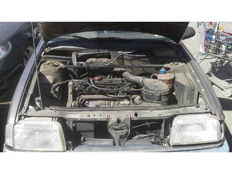 renault 19 hatchback (b/c53) del año 1989