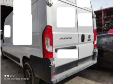 fiat ducato maxi furgón ta 35 (290) del año 2021 2