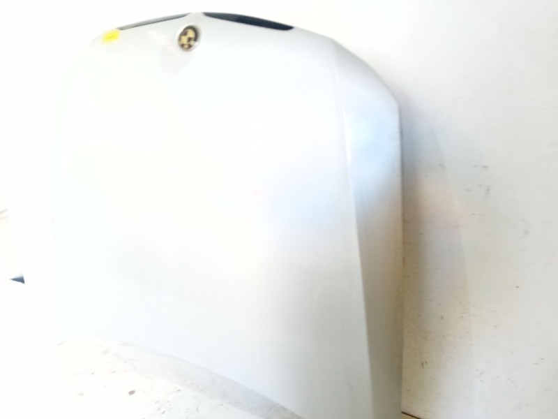 Recambio de capot para bmw 3 (e90) 320 d referencia OEM IAM   