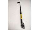 AMORTIGUADORES MALETERO / PORTON 90450G9501 
