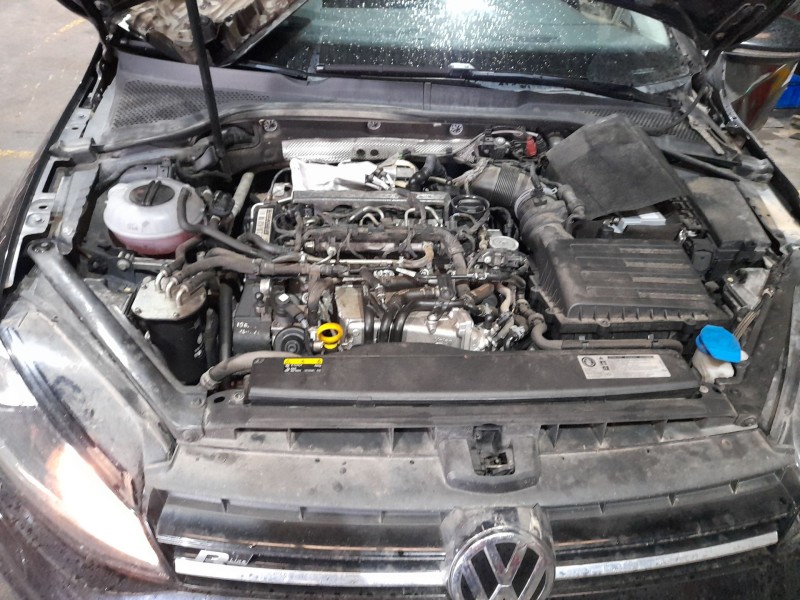 volkswagen golf vii (5g1, bq1, be1, be2) del año 2017