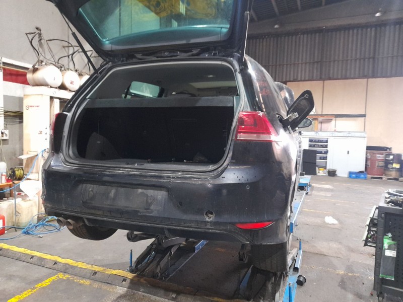 volkswagen golf vii (5g1, bq1, be1, be2) del año 2017